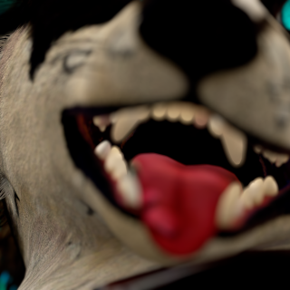 VRChat_2024-09-21_17-35-20.286_3840x2160