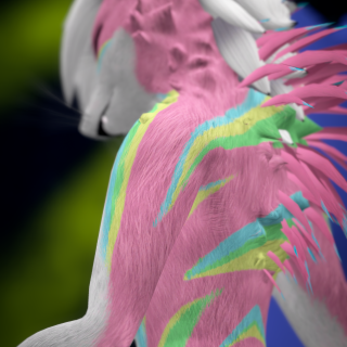 VRChat_2024-09-20_16-13-43.638_2160x3840