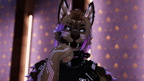 VRChat_2024-10-02_19-10-53.918_2560x1440.png