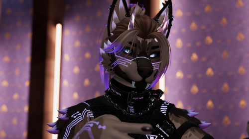 VRChat_2024-10-02_19-10-55.191_2560x1440.png