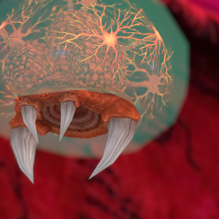 VRChat_2024-10-06_23-11-24.613_2560x1440