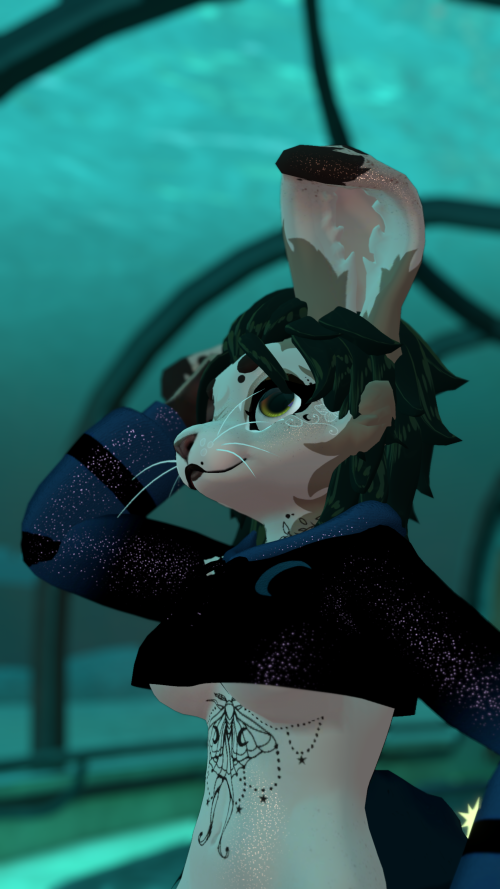 VRChat_2024-10-17_21-18-32.409_3840x2160.png