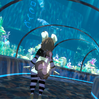 VRChat_2024-10-17_21-45-08.049_3840x2160