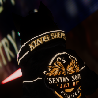 VRChat_2024-10-20_16-42-26.007_3840x2160