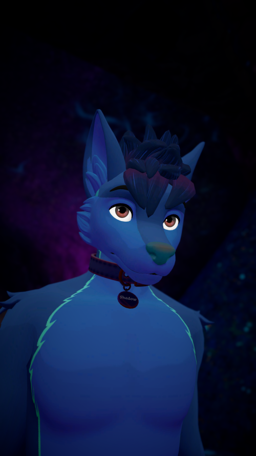 VRChat_2024-11-08_17-18-30.754_3840x2160.png