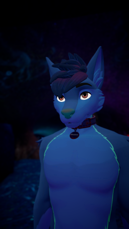 VRChat_2024-11-08_17-18-33.687_3840x2160.png