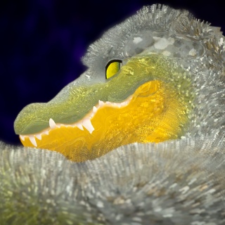 VRChat_2024-11-08_19-37-37.798_3840x2160