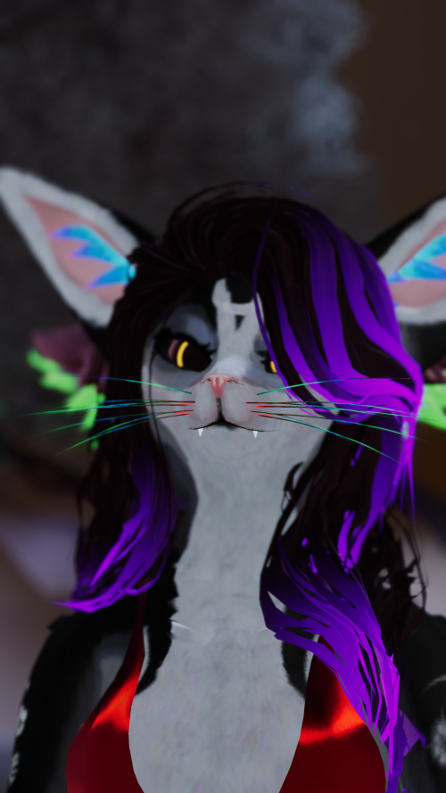 VRChat_2024-11-09_13-20-46.849_3840x2160.png