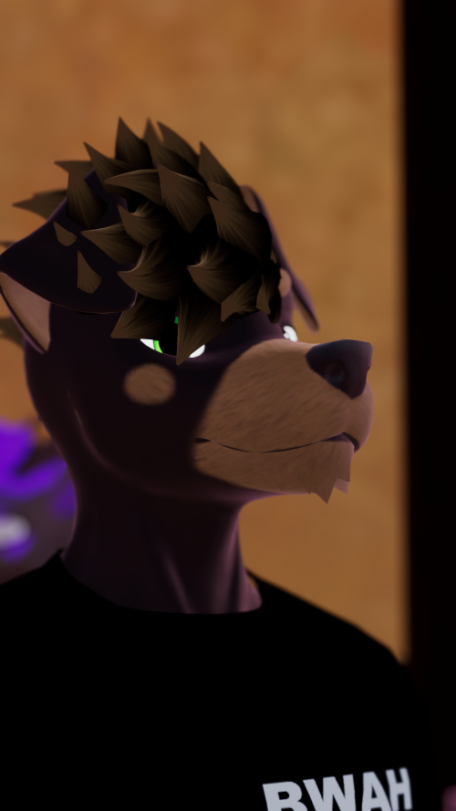 VRChat_2024-11-09_14-48-45.386_3840x2160.png