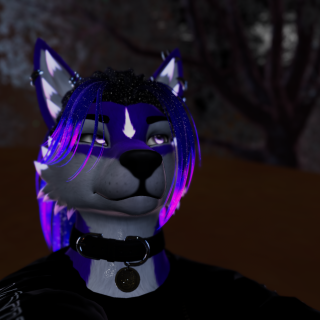 VRChat_2024-11-09_14-52-25.368_3840x2160