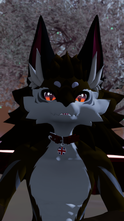 VRChat_2024-11-09_16-32-49.083_3840x2160.png