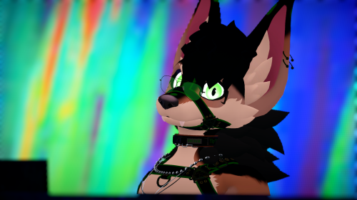 VRChat_2024-11-09_21-14-03.887_3840x2160.png