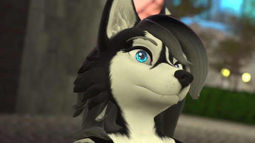 VRChat_2024-11-11_20-37-27.583_3840x2160.png