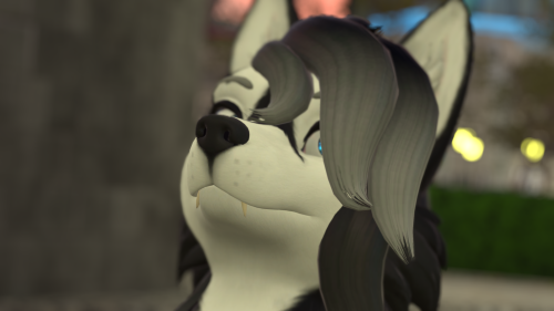 VRChat_2024-11-11_20-37-41.948_3840x2160.png