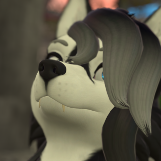 VRChat_2024-11-11_20-37-41.948_3840x2160