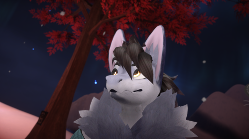 VRChat 2024 11 11 20 54 52.986 3840x2160