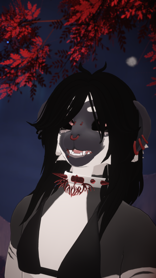 VRChat 2024 11 11 21 10 54.920 3840x2160