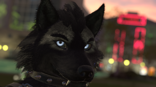 VRChat_2024-11-14_19-16-32.632_3840x2160.png