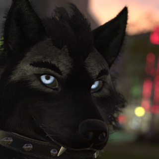 VRChat_2024-11-14_19-16-32.632_3840x2160