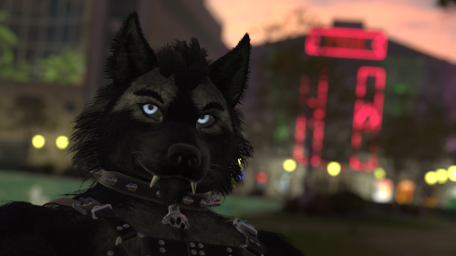 VRChat_2024-11-14_19-16-35.432_3840x2160.png