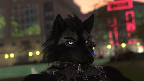 VRChat_2024-11-14_19-16-37.749_3840x2160.png