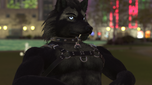 VRChat_2024-11-14_19-16-43.156_3840x2160.png