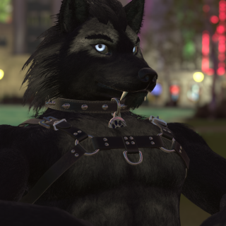 VRChat_2024-11-14_19-16-43.156_3840x2160