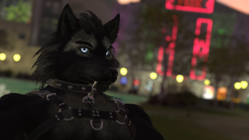 VRChat_2024-11-14_19-17-05.987_3840x2160.png
