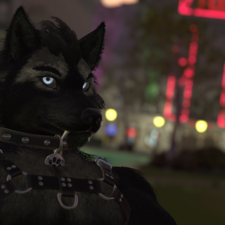 VRChat_2024-11-14_19-17-05.987_3840x2160