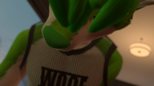 VRChat_2024-11-14_21-55-54.058_3840x2160.png