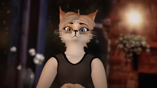 VRChat_2024-11-15_16-15-27.384_3840x2160.png