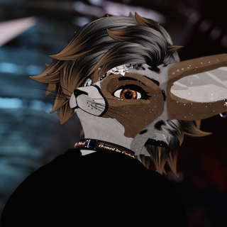 VRChat_2024-11-15_17-04-10.987_3840x2160