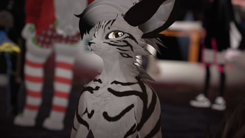VRChat_2024-11-15_20-25-15.281_3840x2160.png