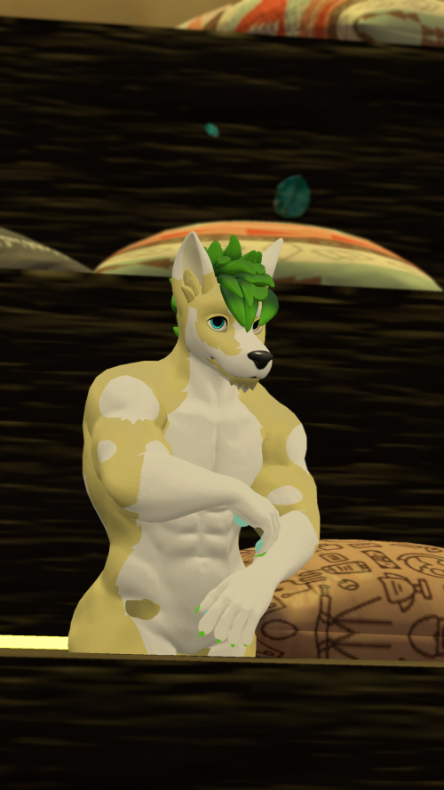 VRChat_2024-11-16_14-20-57.848_3840x2160.png