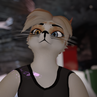 VRChat_2024-11-15_22-36-35.349_2160x3840