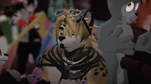 VRChat_2024-11-15_22-54-57.124_3840x2160.png