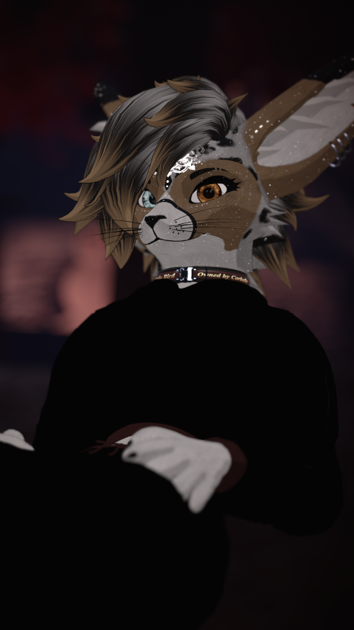 VRChat_2024-11-15_23-05-05.752_2160x3840.png