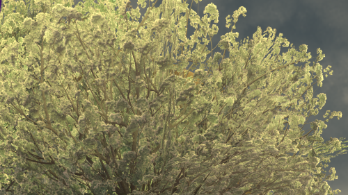 VRChat_2024-11-17_17-20-39.486_3840x2160.png