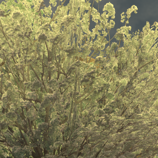 VRChat_2024-11-17_17-20-39.486_3840x2160