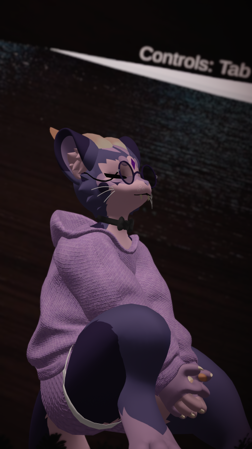 VRChat_2024-11-16_22-38-34.952_2160x3840.png