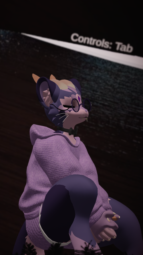 VRChat_2024-11-16_22-38-45.461_2160x3840.png