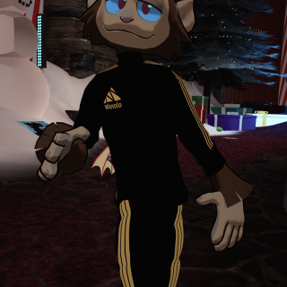 VRChat_2024-11-17_02-26-52.355_2160x3840