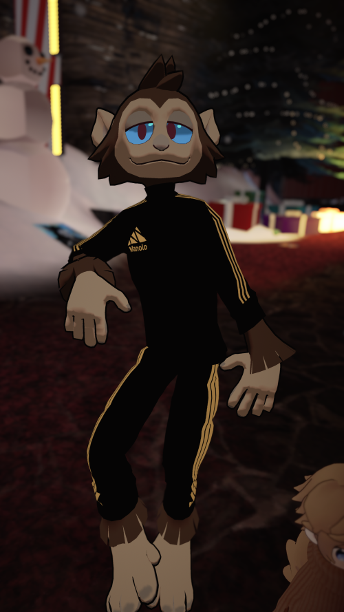 VRChat_2024-11-17_02-27-01.384_2160x3840.png