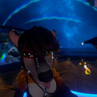 VRChat_2024-11-19_20-56-26.274_3840x2160