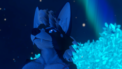 VRChat_2024-11-19_21-10-01.637_3840x2160.png