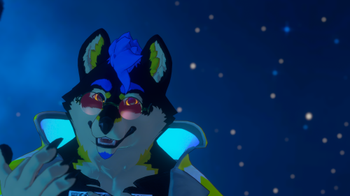 VRChat_2024-11-19_21-10-23.218_3840x2160.png