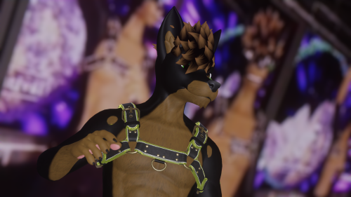 VRChat_2024-11-22_15-57-30.129_3840x2160.png