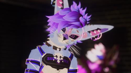 VRChat_2024-11-23_16-11-17.181_3840x2160.png