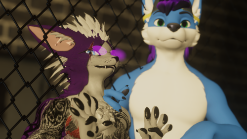 VRChat_2024-11-23_17-09-32.626_3840x2160.png