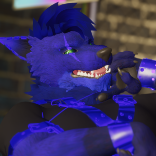 VRChat_2024-11-23_18-06-32.207_3840x2160